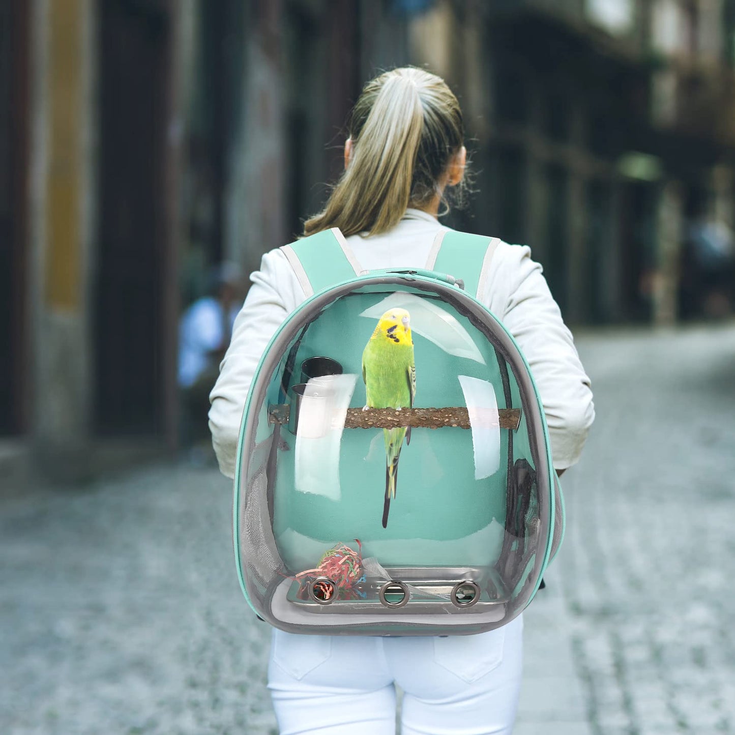 Bird Backpack Carrier with Perch, Portable Bird Travel Cage Bag, Clear Parrot Carrier Cockatiel Cage with Toy Stainless Steel Food Bowl Tray for Conures Parakeet Budgie Canary Lovebirds Small Animals