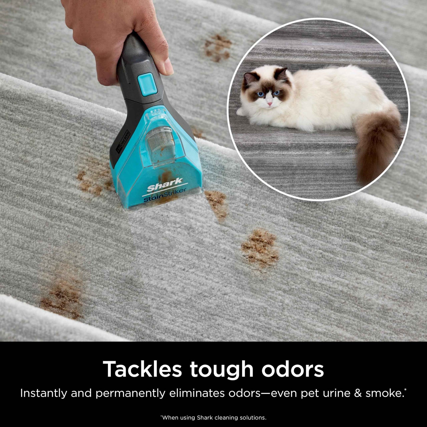 Shark StainStriker Pet Bundle for All StainStriker Portable Carpet Cleaners, Includes 32oz OXY Multiplier formula and 16oz Deep Clean Pet formula, PXCPBUNDLE