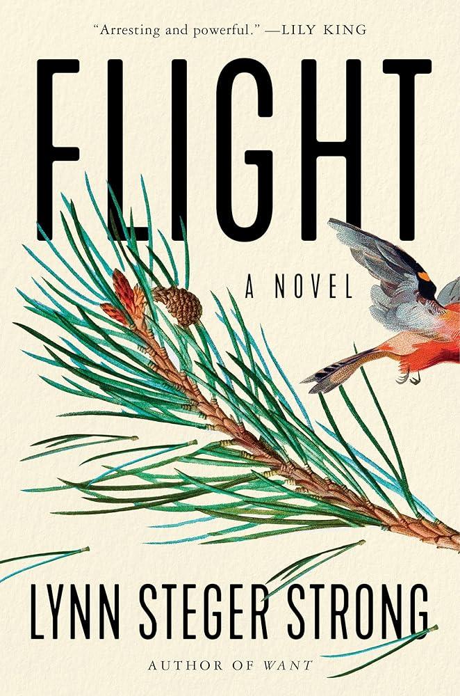Flight: A Novel cover image