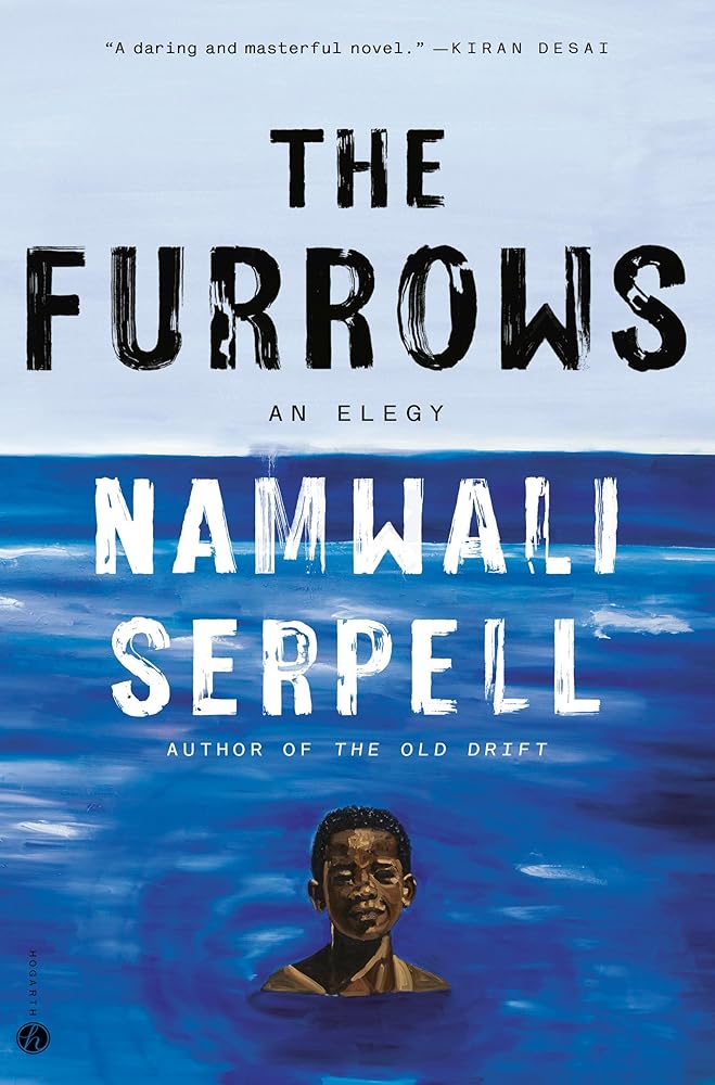 The Furrows: A Novel cover image