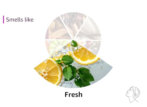 Yankee Candle Mid Summer's Night Scented Candle, 22oz Large Jar with up to 150 Hour Burn, Giftable jlhbookstore.store