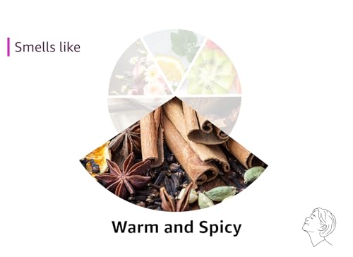 WoodWick Cinnamon Chai Holiday Candle Gifts for Women and Men, 9.7 oz Medium Hourglass Candle with Crackling Wick jlhbookstore.store