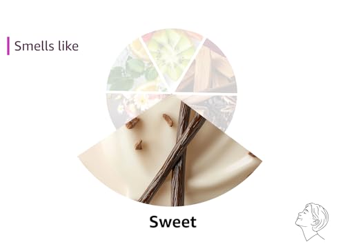 WoodWick Cinnamon Chai Holiday Candle Gifts for Women and Men, 9.7 oz Medium Hourglass Candle with Crackling Wick jlhbookstore.store