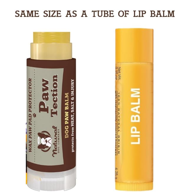 Natural Dog Company Paw Soother Balm & Wax 2 oz Stick – Nourishing Paw Care with Coconut & Hempseed Oils + Calendula – Soothes Dry, Cracked Pads – Lick-Safe & Weather Protective