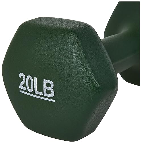 Amazon Basics Neoprene Dumbbell Hand Weights for Exercise and Muscle Toning jlhbookstore.store