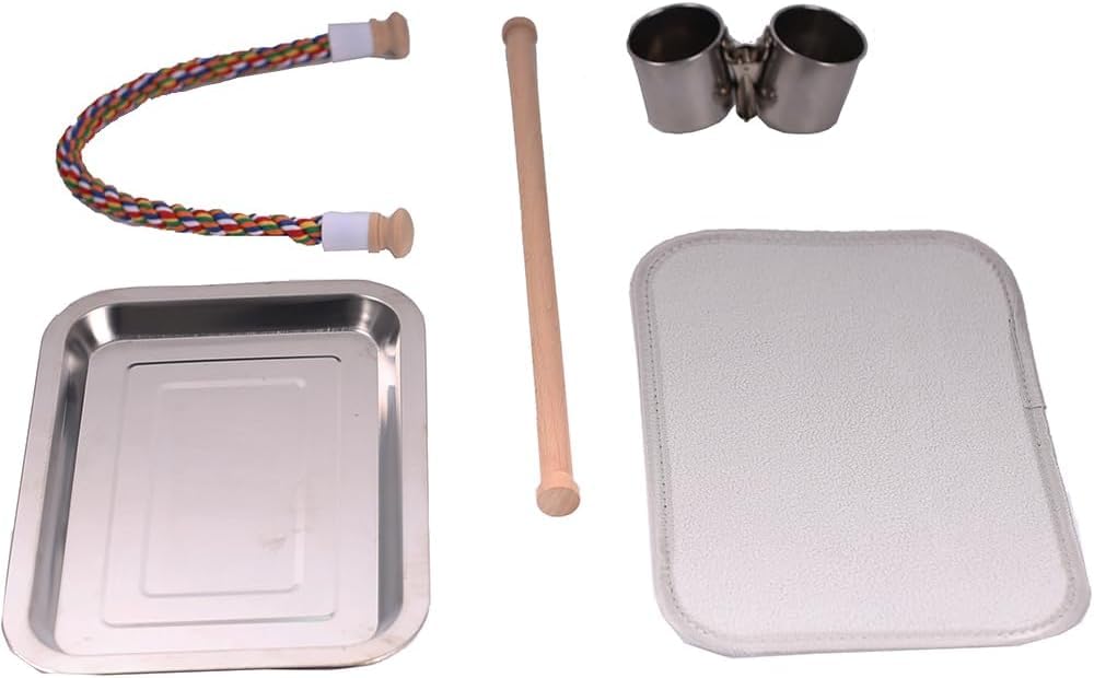 Bird Traval Carrier Cage, Clear Space Capsule Astronaut Backpack to Carry Parakeet Cockatiel Parrot with Metal Tray Wood Perch, Vet Transport School Bag