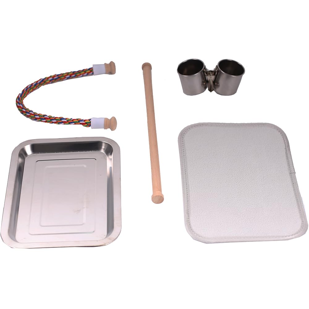 Bird Traval Carrier Cage, Clear Space Capsule Astronaut Backpack to Carry Parakeet Cockatiel Parrot with Metal Tray Wood Perch, Vet Transport School Bag