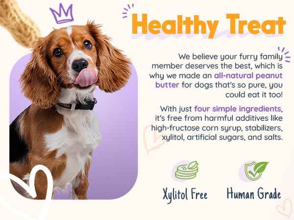 Pumpkin Pup Buddy BUDDER, 100% Natural Dog Peanut Butter, Healthy Peanut Butter Dog Treats, Made in USA, (17oz Jars)