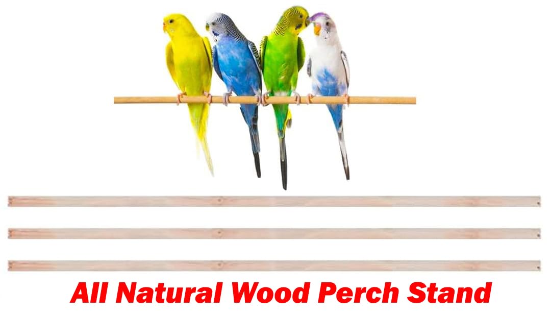 38-Inch Double Roof Top Large Flight Bird Cage with Toys Climbing Ladder Side Nesting Box Doors for Cockatiels Sun Parakeets Conures Aviary Budgie Finch Lovebird Canary Pet Bird Travel Cage