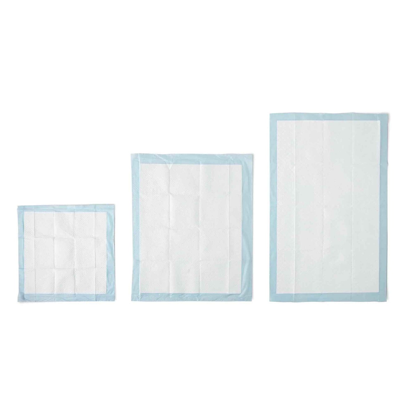 Amazon Basics Dog and Puppy Pee Pads, 5-Layer Leak-Proof Super Absorbent, Quick-Dry Surface, Potty Training, Regular (22x22"), 100 Count, Blue & White