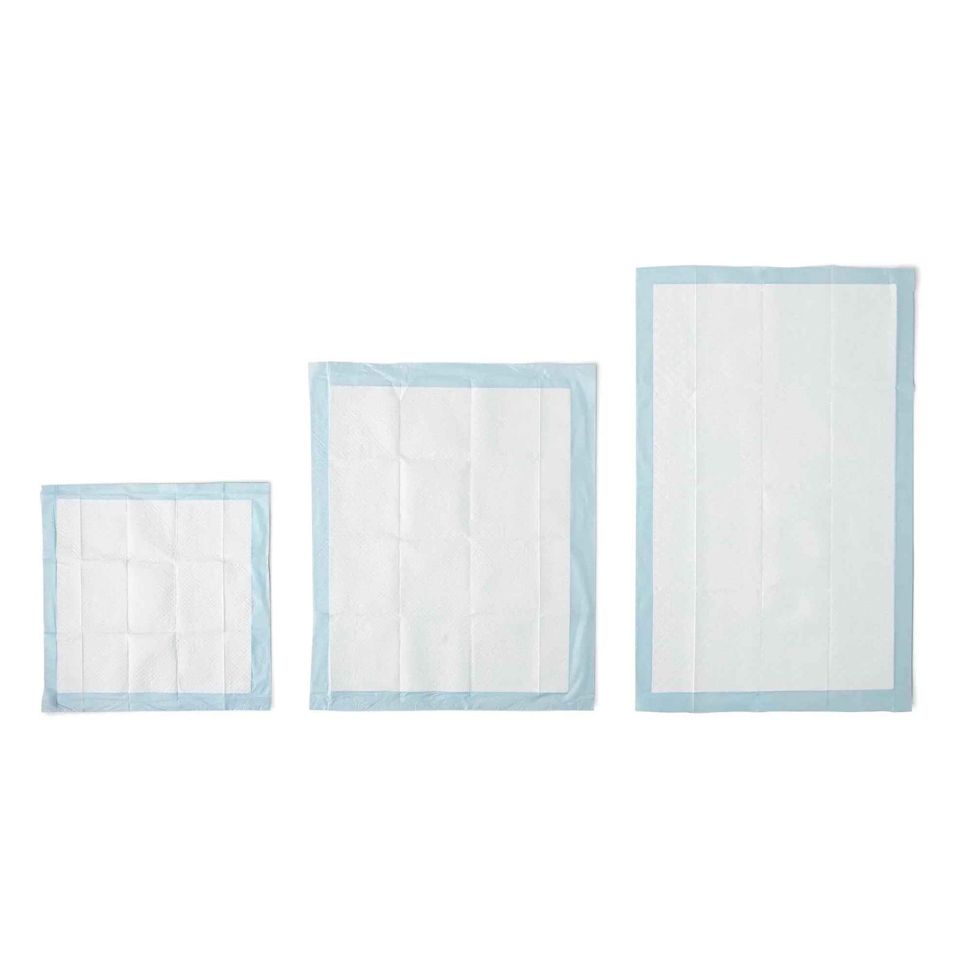 Amazon Basics Dog and Puppy Pee Pads, 5-Layer Leak-Proof Super Absorbent, Quick-Dry Surface, Potty Training, Regular (22x22"), 100 Count, Blue & White