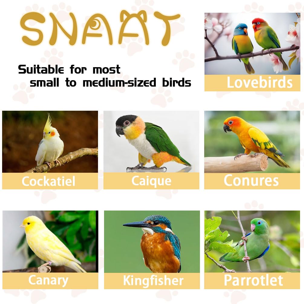 Bird Cage Parakeet Cage with Bird Toys & Slide-Out Tray, Wooden Perches, Rolling Stand, Swing & Bowls – Spacious Indoor Bird House for Parrot, Parakeets, Cockatiel, Lovebird and Small Mid-Sized Birds