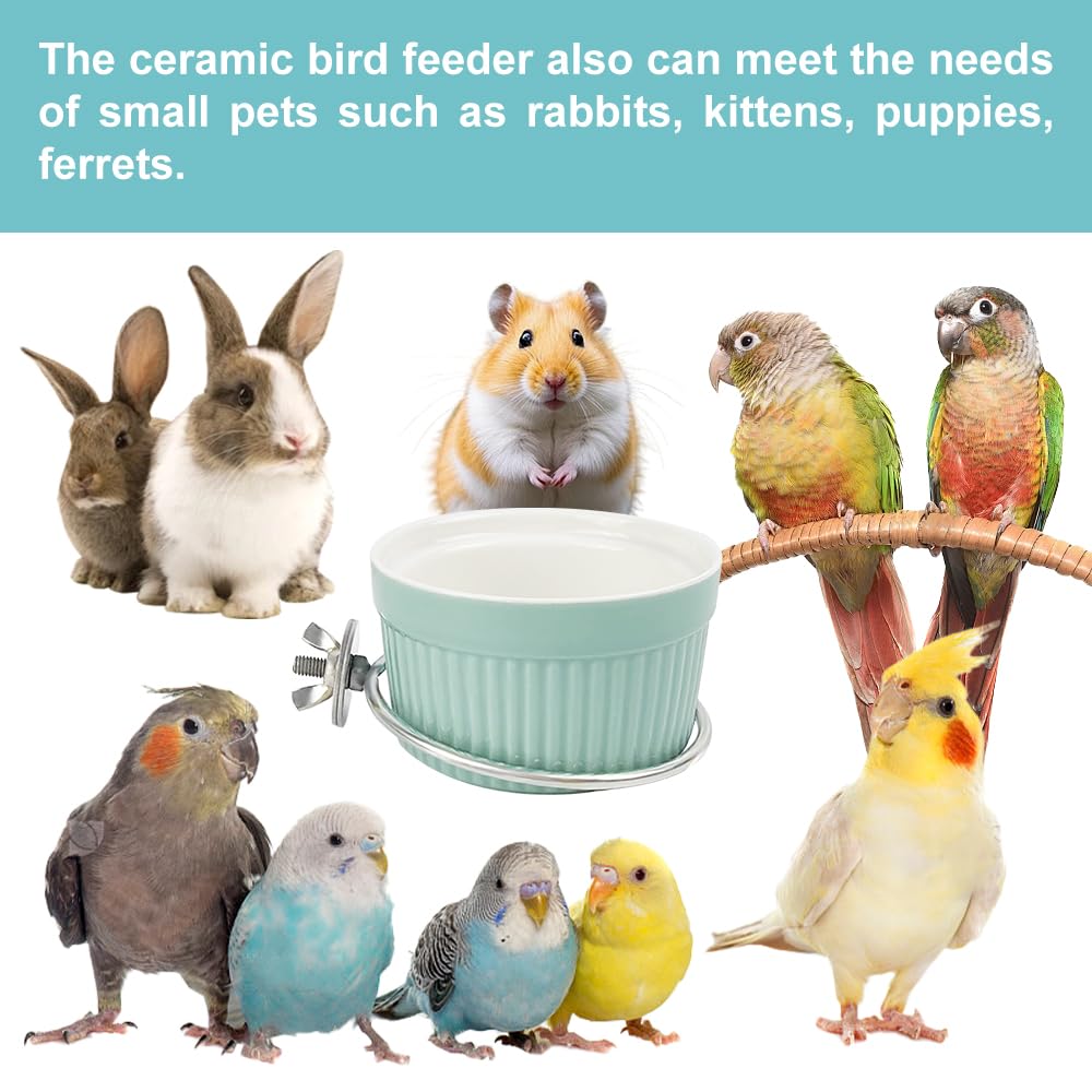 Bird Feeding Cups Parrot Food Cage Bowl Clamp Holder Coop Cup, Ceramic Bird Cage Water Bowl, Pet Feeder Cage for Parakeet African Greys Conure Cockatiels Lovebird Budgie-Blue