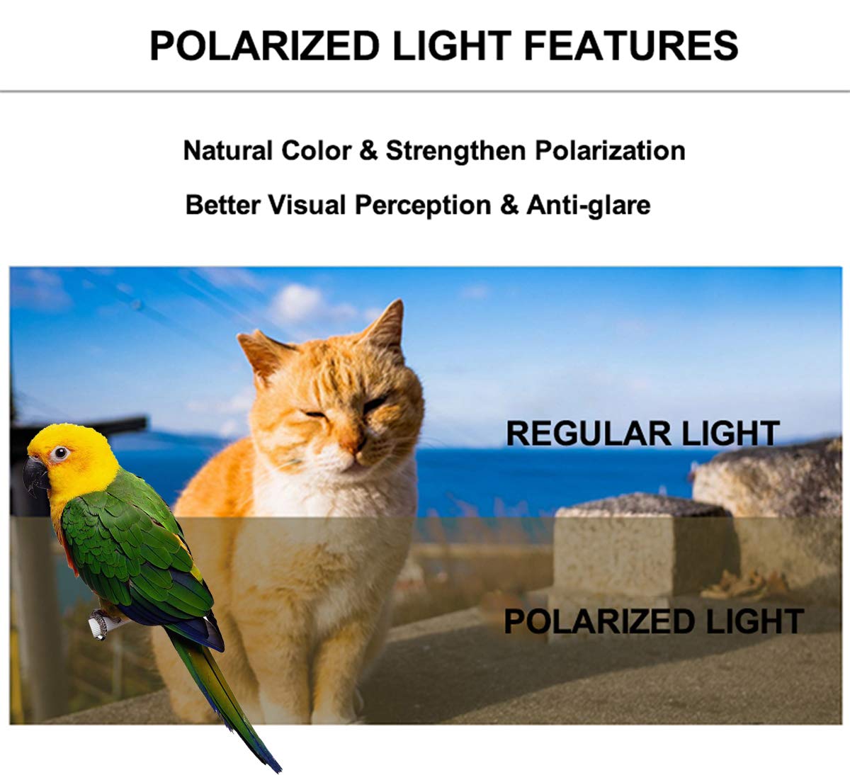 Bird Traval Carrier Cage, Clear Space Capsule Astronaut Backpack to Carry Parakeet Cockatiel Parrot with Metal Tray Wood Perch, Vet Transport School Bag