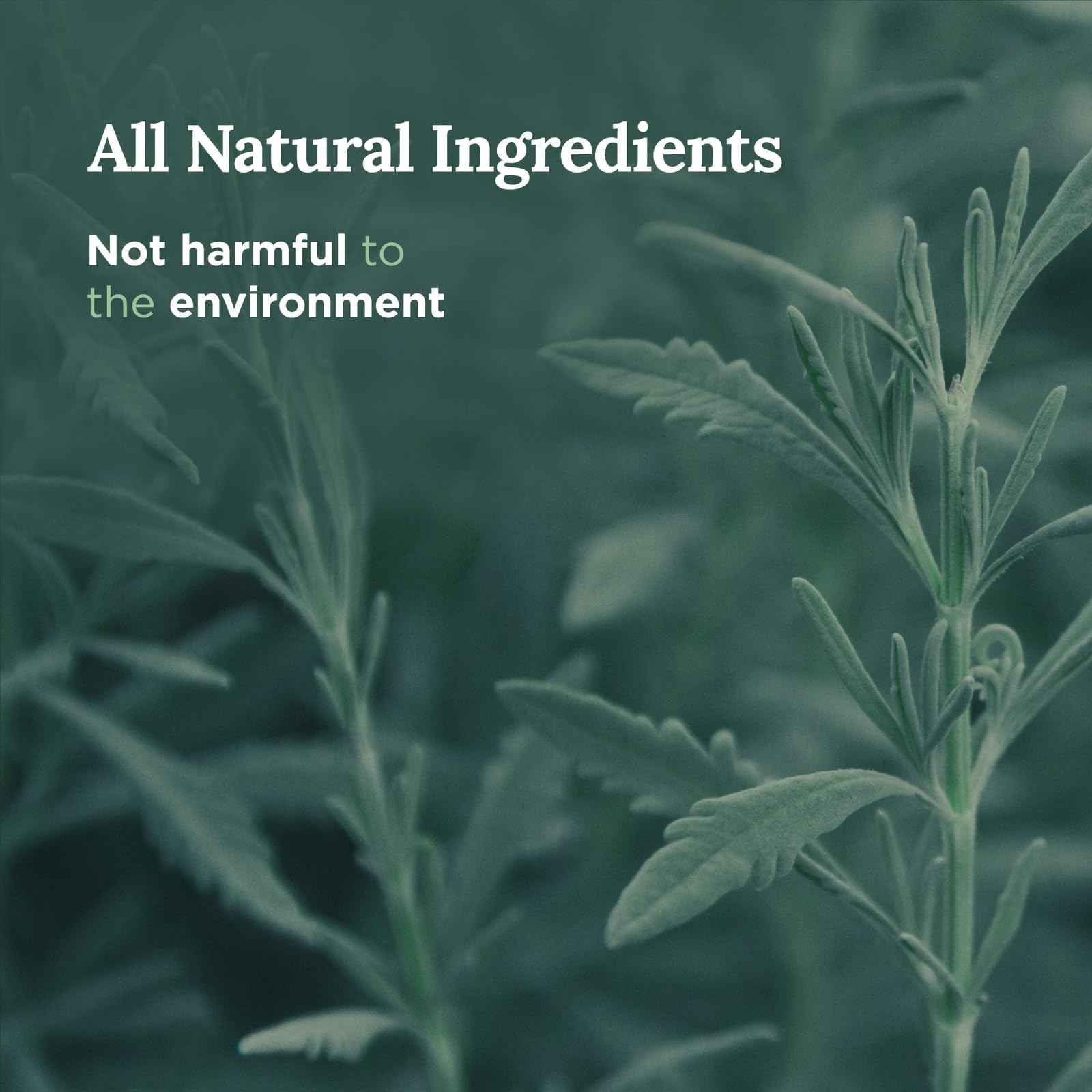 Magnificent 101 Set of 3 Long Lasting Pure Sage Smudge Candles - 42 Hour Burn, 3.5 Oz Each, Made with Soy Wax and Herb, Ideal for House Energy Cleansing, Meditation & Manifestation