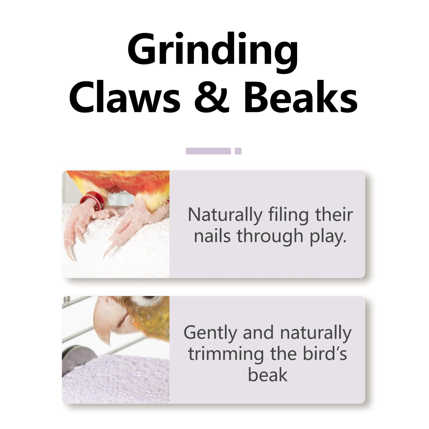 Natural Mineral Bird Perch for Cage Parrot Perch Platform for Beak Grinding Claw Trimming & Chewing Chew Toy for Parakeets Cockatiels Conures Birds Cage Accessories (Gradient Green, 4.7")