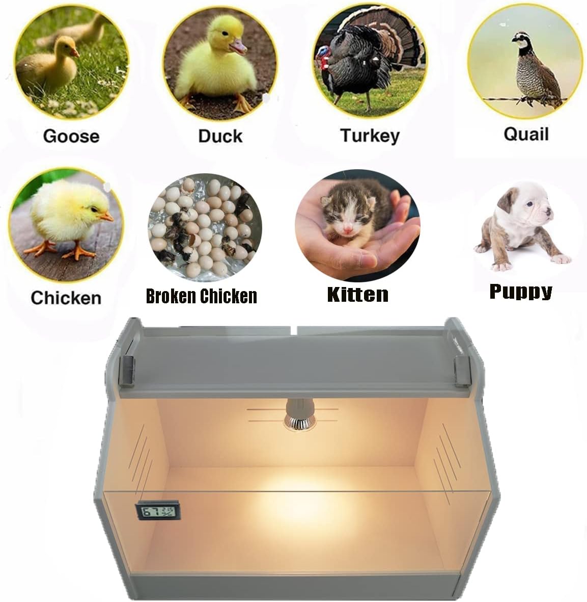 Intelligent Brooder Box 10-15 Newborns Chicks Quail Birds Small Animals Manual Incubators Poultry Heater Breeding Box