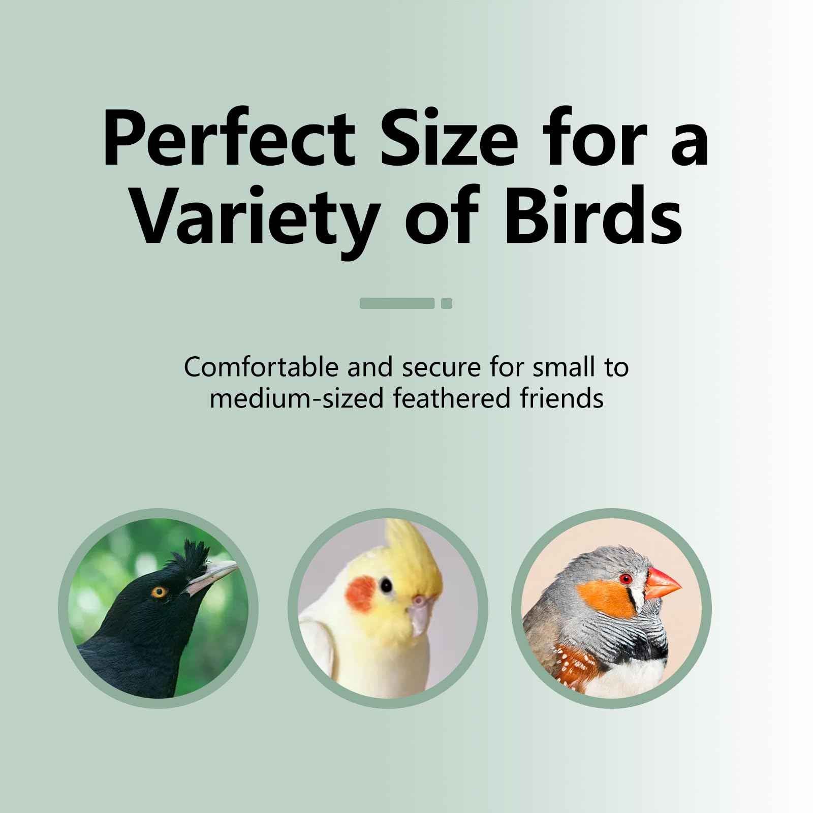 Natural Mineral Bird Perch for Cage Parrot Perch Platform for Beak Grinding Claw Trimming & Chewing Chew Toy for Parakeets Cockatiels Conures Birds Cage Accessories (Gradient Green, 4.7")