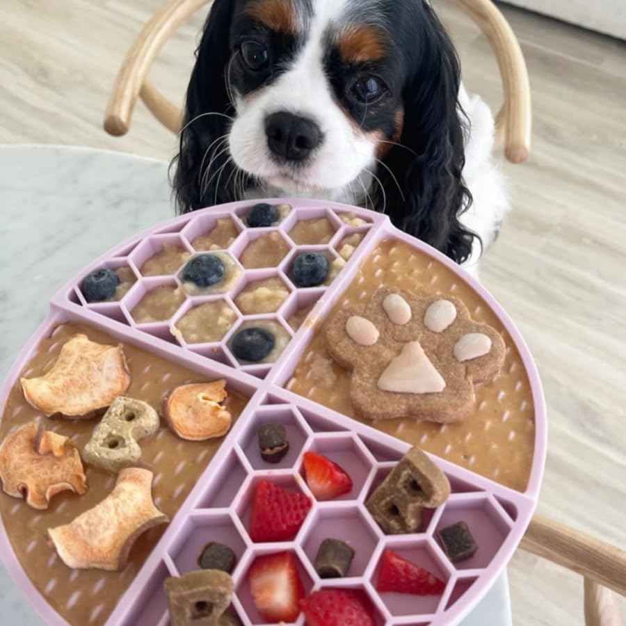 Pumpkin Pup Buddy BUDDER, 100% Natural Dog Peanut Butter, Healthy Peanut Butter Dog Treats, Made in USA, (17oz Jars)