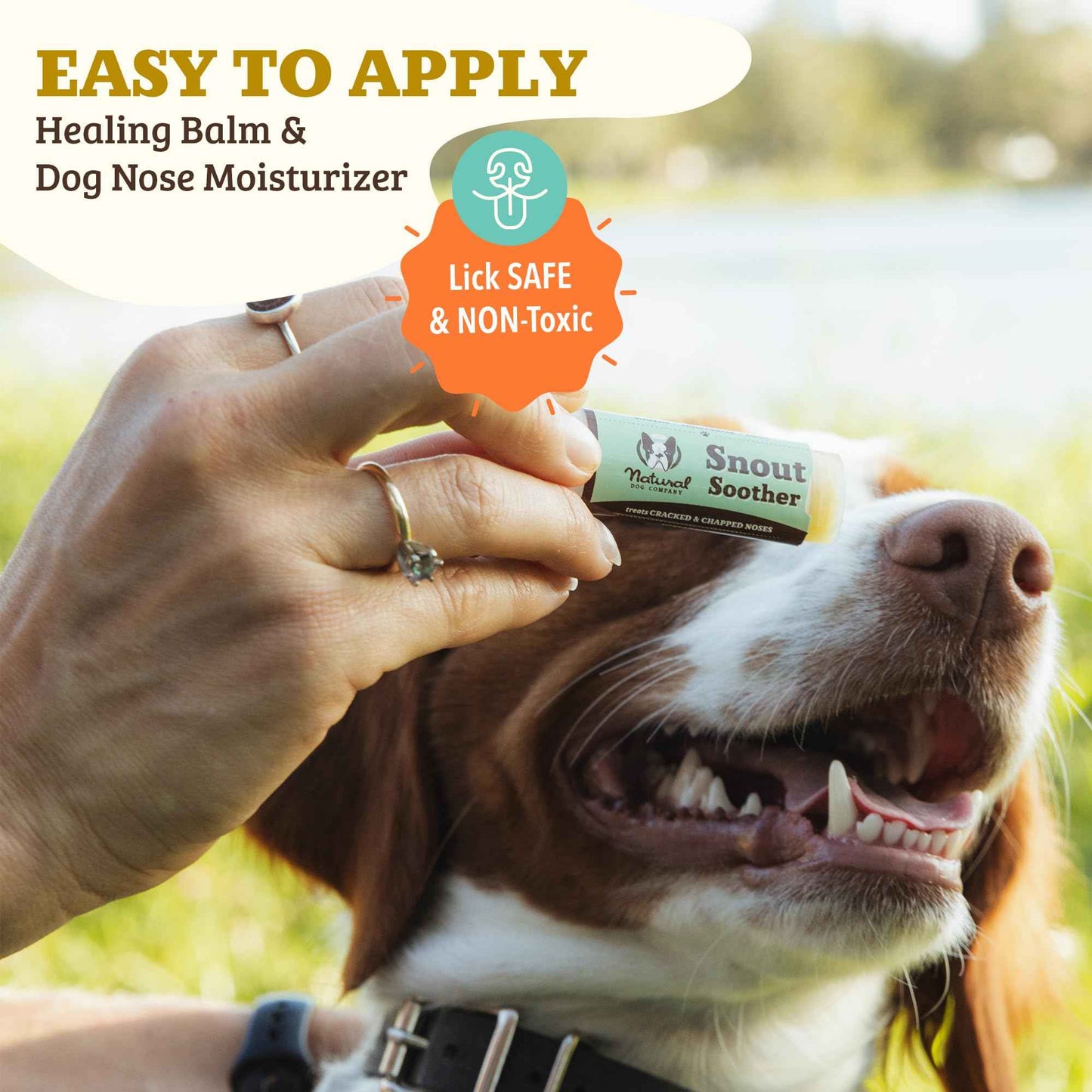 Natural Dog Company Snout Soother Travel Stick 0.15 oz – All Natural Dog Nose Balm for Dry, Cracked Snouts – Organic Moisturizing & Soothing Balm – Lick-Safe Mini Snout Care, Made in USA