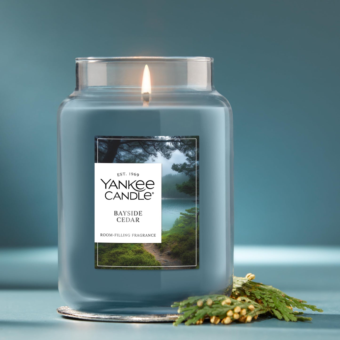 Yankee Candle Mid Summer's Night Scented Candle, 22oz Large Jar with up to 150 Hour Burn, Giftable jlhbookstore.store