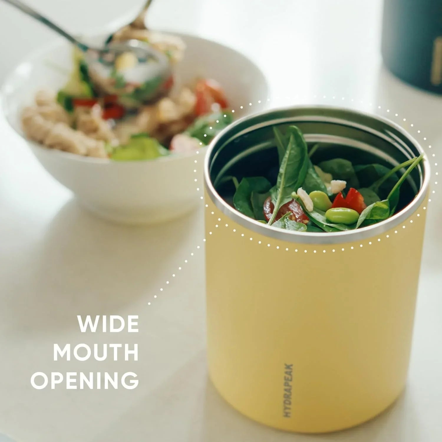 Hydrapeak 25oz Stainless Steel Vacuum Insulated Food Jar for Hot Food and Cold Food, Wide Mouth Leak-Proof Soup Jar for Adults, 10 Hours Hot and 16 Hours Cold (Seafoam) jlhbookstore.store