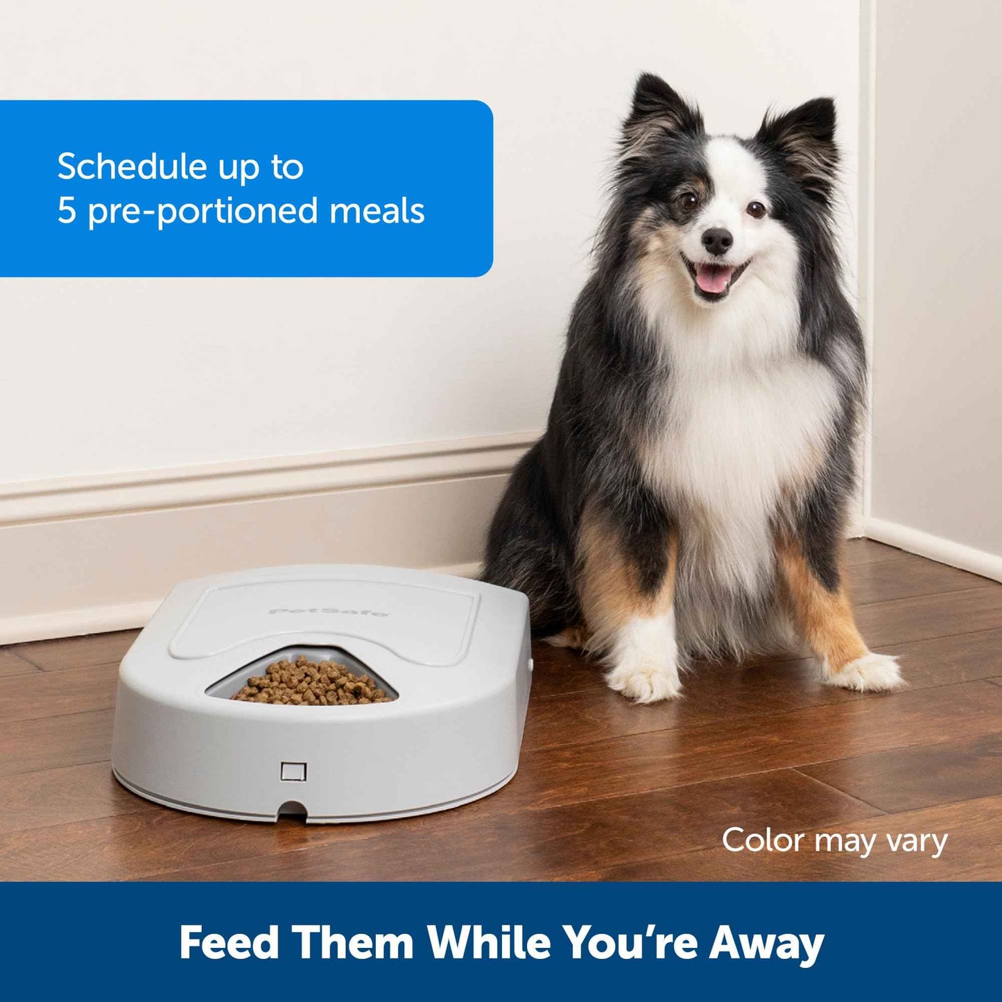 PetSafe Automatic Dog Feeder, 5 Meals, 40 oz Capacity, Plastic, for Dry Food, Multiple Pets
