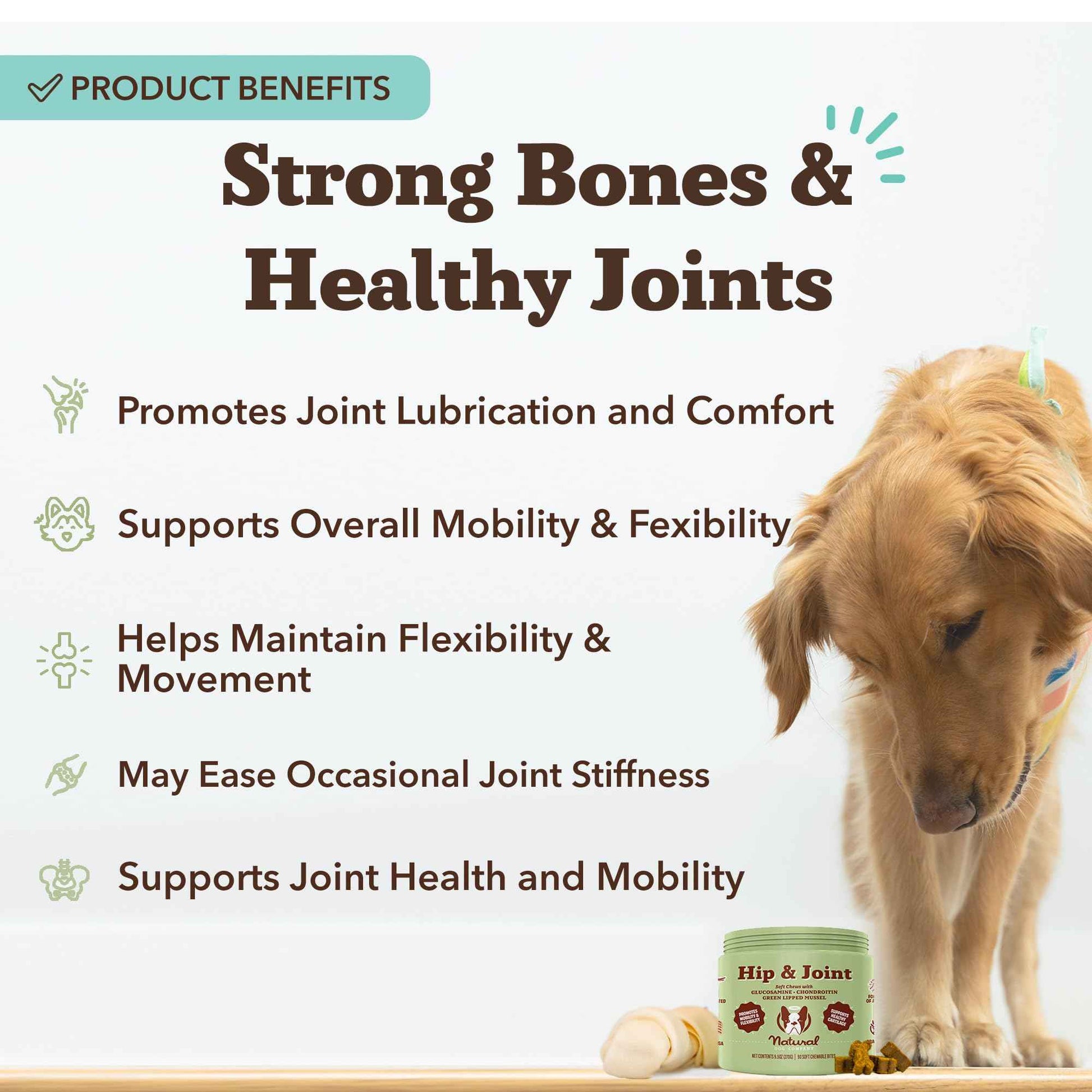 Natural Dog Company Liquid Glucosamine Hip & Joint Oil for Dogs, 16 oz, Extra Strength Cartilage & Joint Support, Helps Mobility and Eases Occasional Stiffness, Dog Vitamins & Supplements