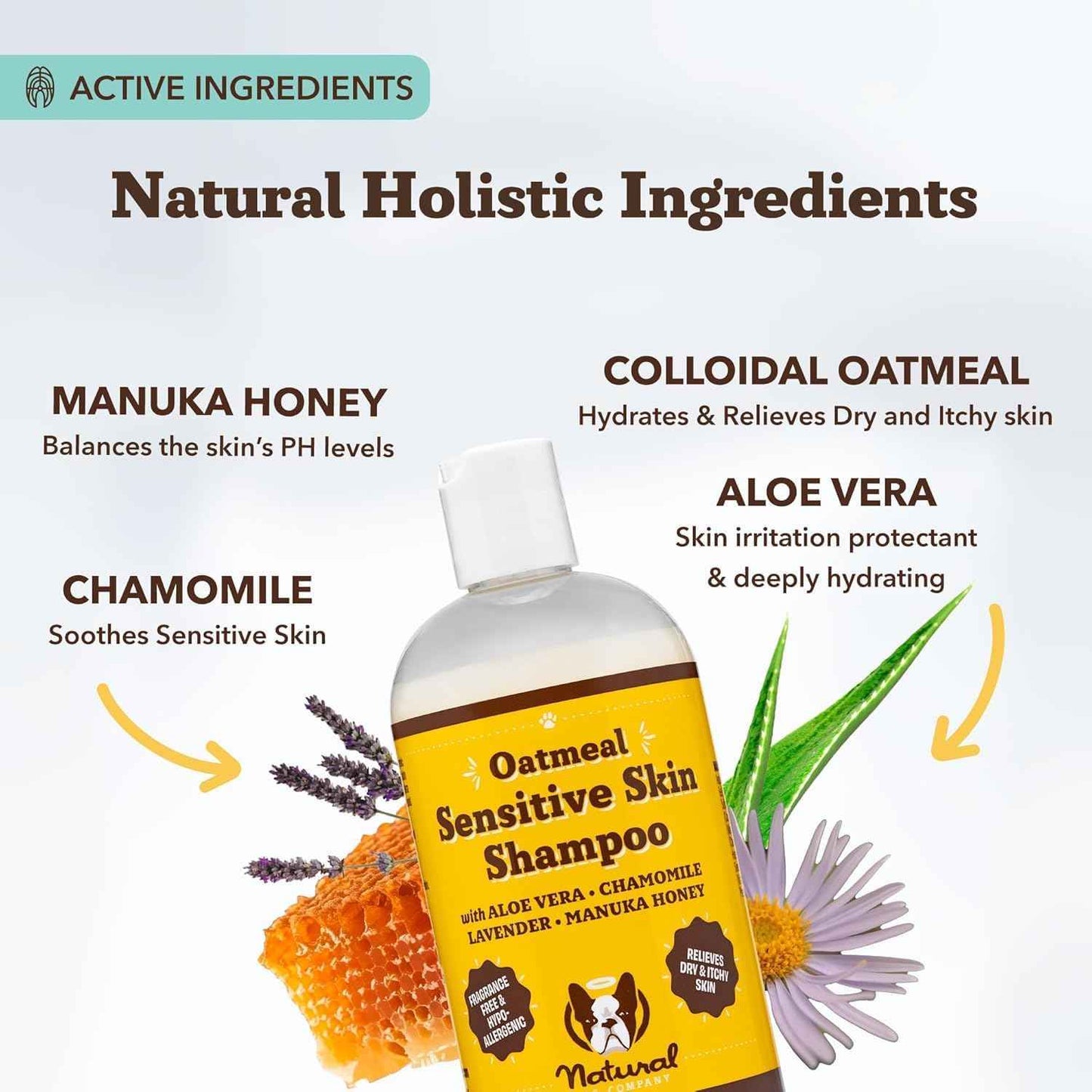 Natural Dog Company Oatmeal Shampoo for Dogs with Sensitive Skin, Ideal Anti Itch Dog Shampoo and Puppy Shampoo Oatmeal Itch Relief Dog Hypoallergenic Pet Shampoo, Deodorizing and Organic 12 oz