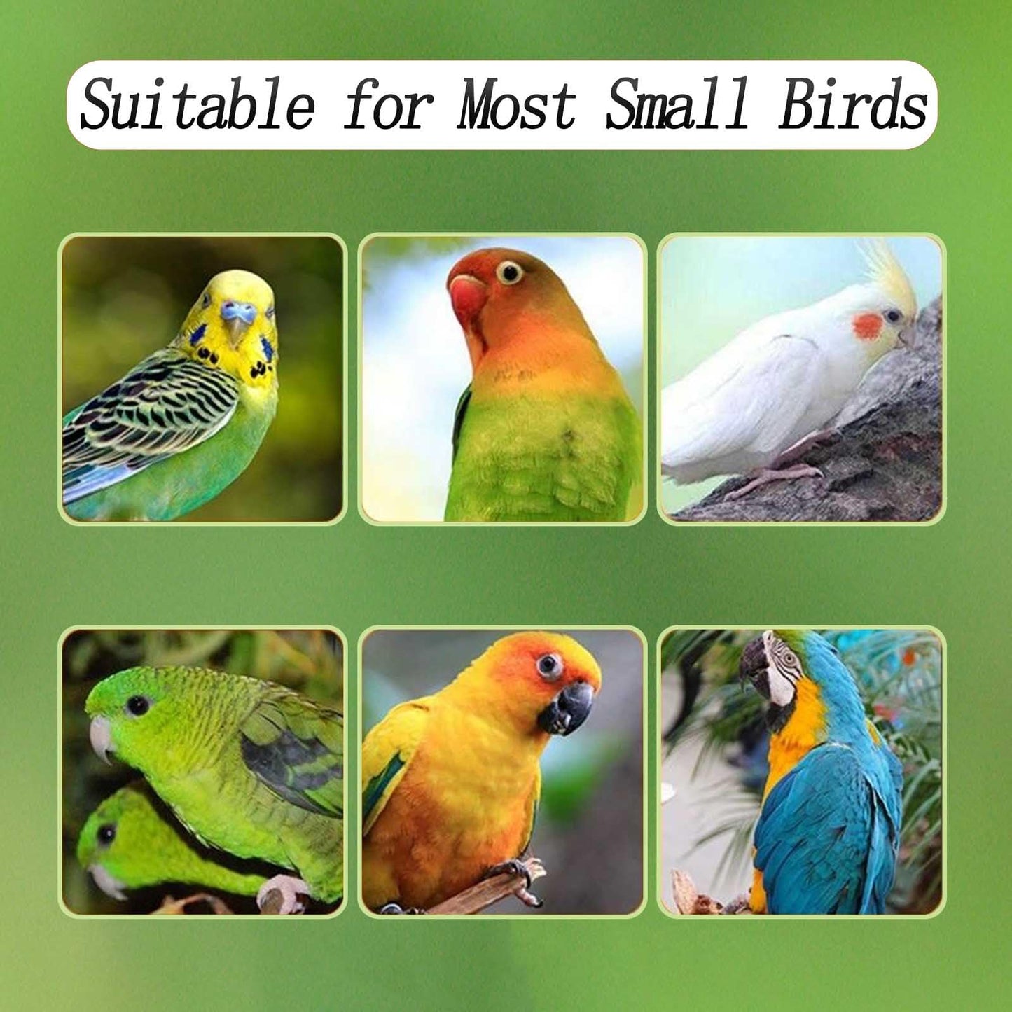 No Mess Bird Feeder for Cage, Automatic Acrylic No Mess Bird Feeder Cage for Parrots Canary Parakeet Budgerigar Crested Myna Cockatiel Lovebird (Large)