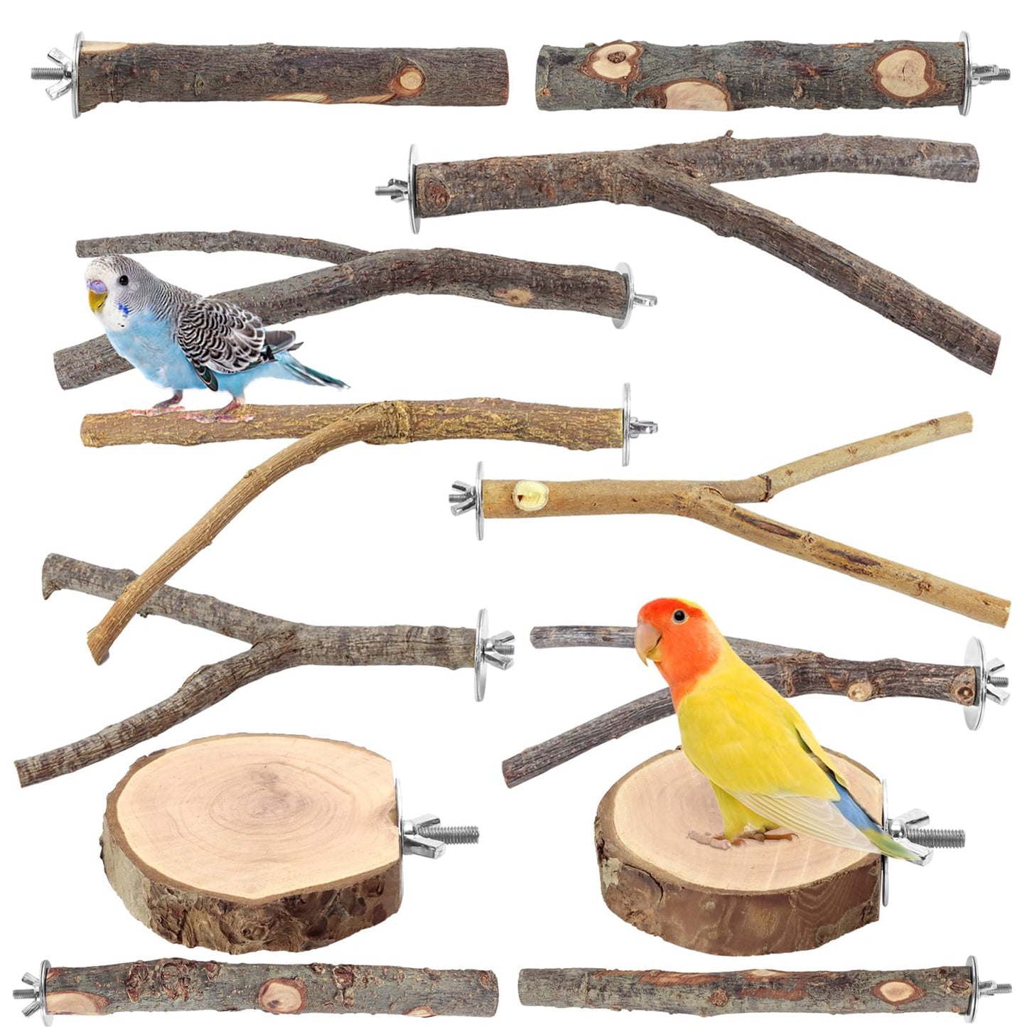 Natural Wood Bird Perches for Cage, Parrot Perch Stand & Platform, Bird Cage Accessories for Parakeets, Cockatiels, Conures, Lovebirds (Brown, Core Perch & Platform - 8PCS)