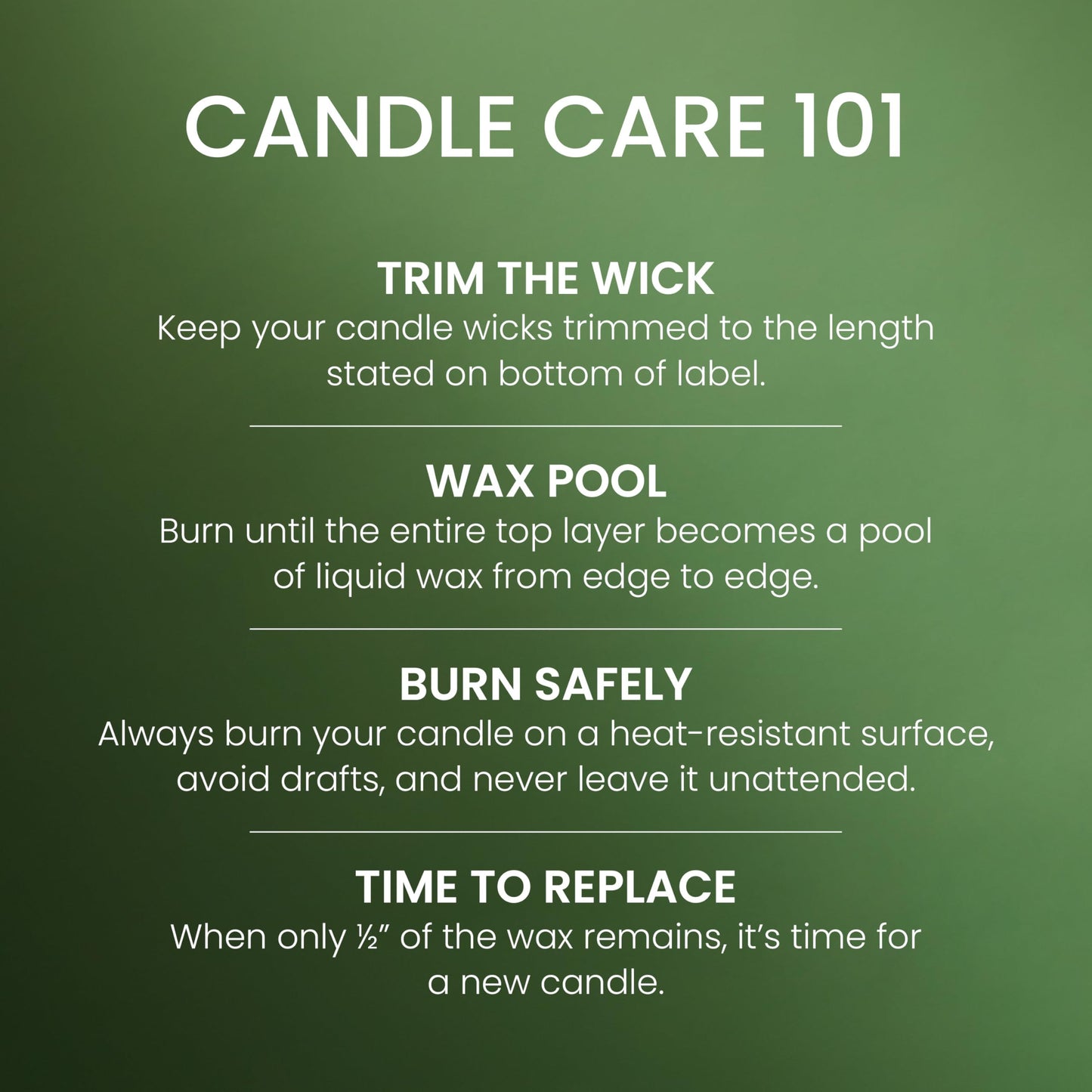 Yankee Candle, Balsam & Cedar Fall Scented Candle, 22oz Large Jar with up to 150 Hour Burn Time jlhbookstore.store