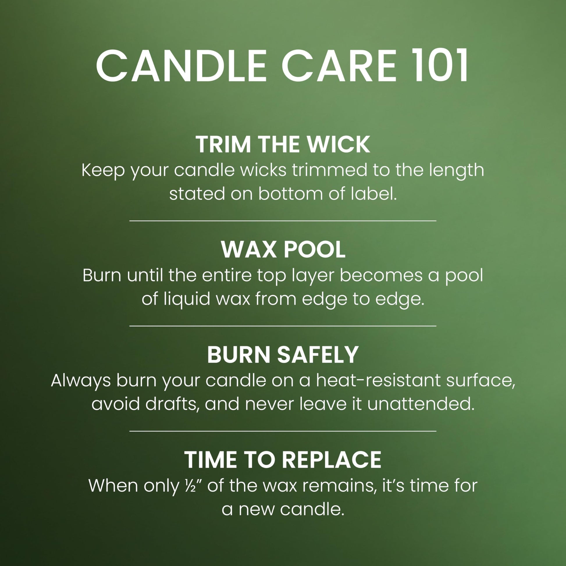 Yankee Candle, Balsam & Cedar Fall Scented Candle, 22oz Large Jar with up to 150 Hour Burn Time jlhbookstore.store