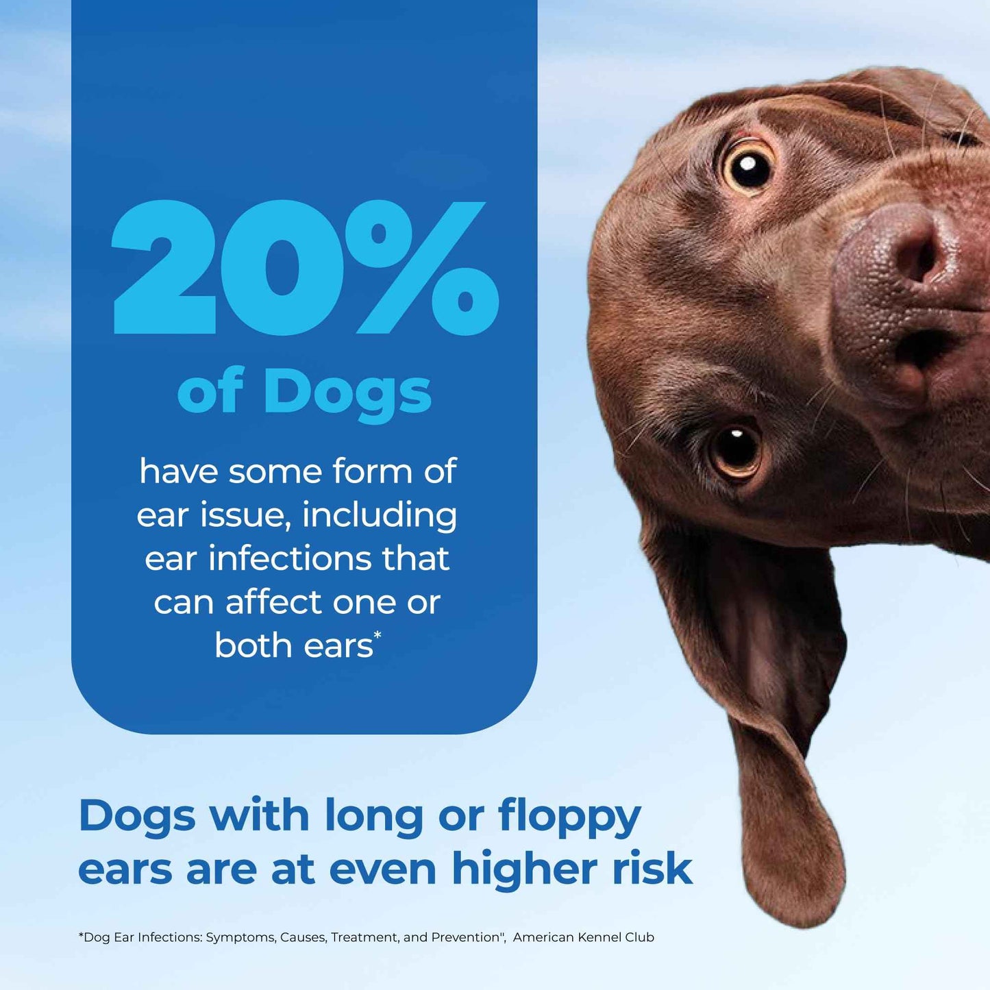 Vetnique Oticbliss Cat & Dog Ear Wipes - Dog Ear Infection Treatment or Dog Ear Cleaner Wipes for Dirty, Waxy, Smelly Dog Ears, Odor Control with Aloe Vera & Salicylic Acid (Finger Mitt Ear Wipes)