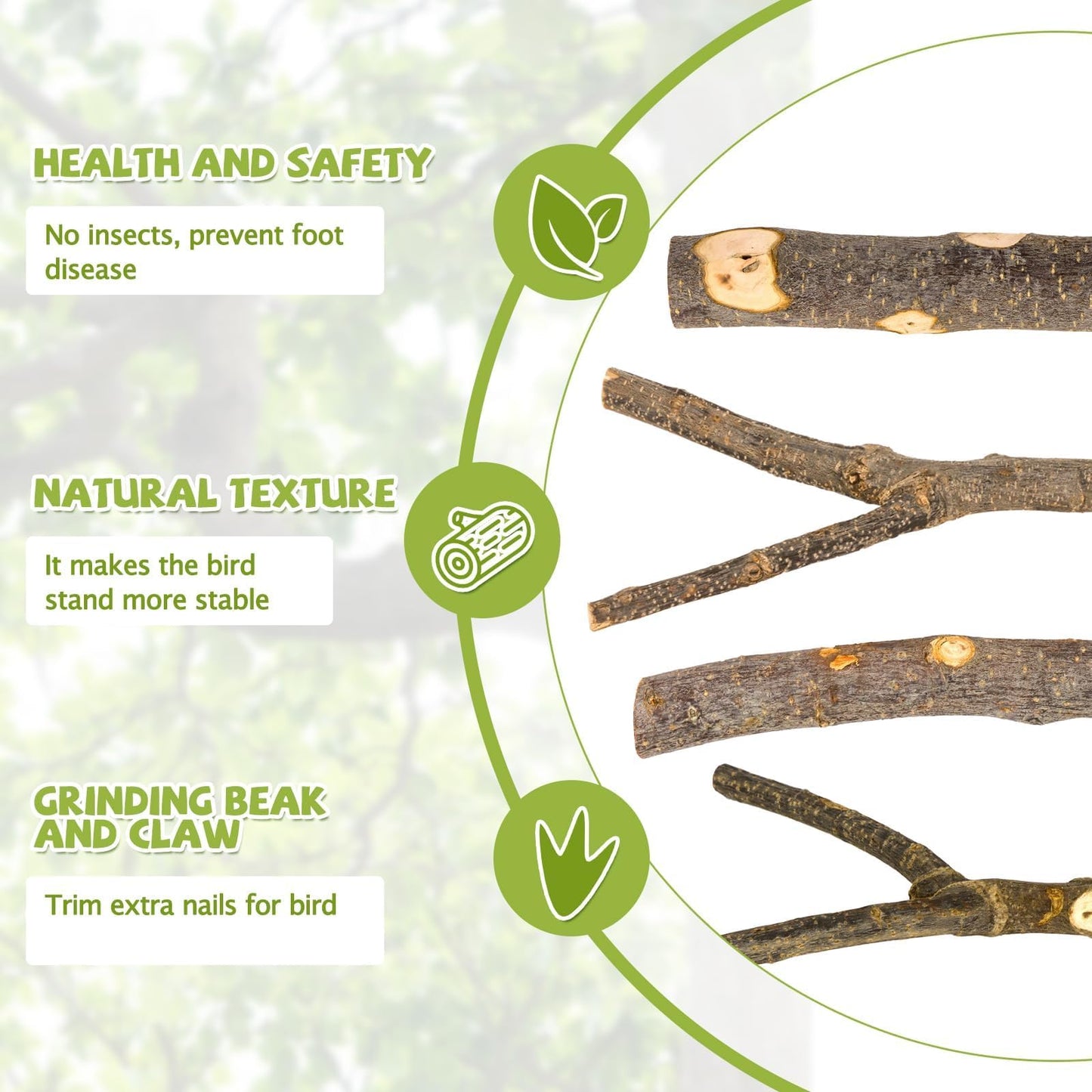 Natural Wood Bird Perches for Cage, Parrot Perch Stand & Platform, Bird Cage Accessories for Parakeets, Cockatiels, Conures, Lovebirds (Brown, Core Perch & Platform - 8PCS)