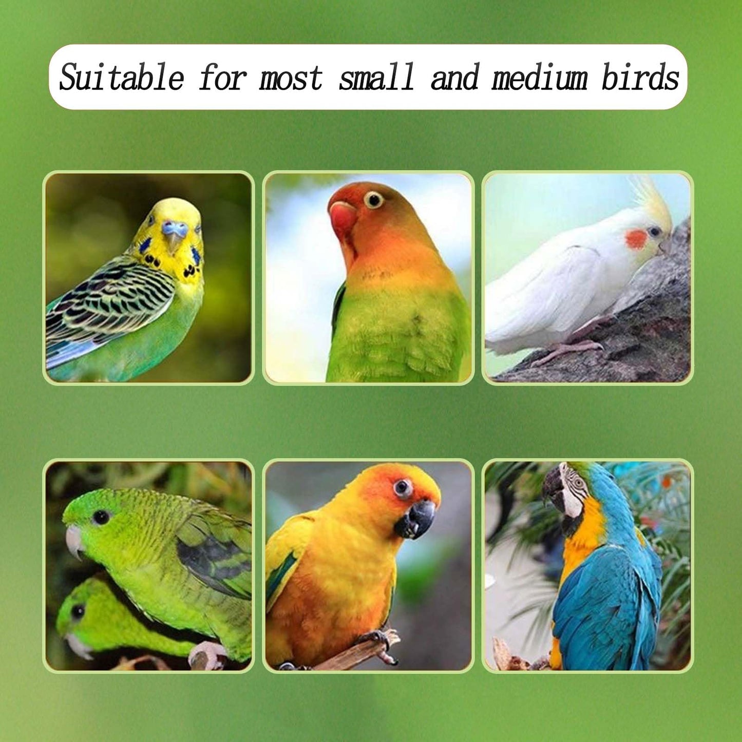 No Mess Bird Feeder for Cage, Automatic Acrylic No Mess Bird Feeder Cage for Parrots Canary Parakeet Budgerigar Crested Myna Cockatiel Lovebird (Large)