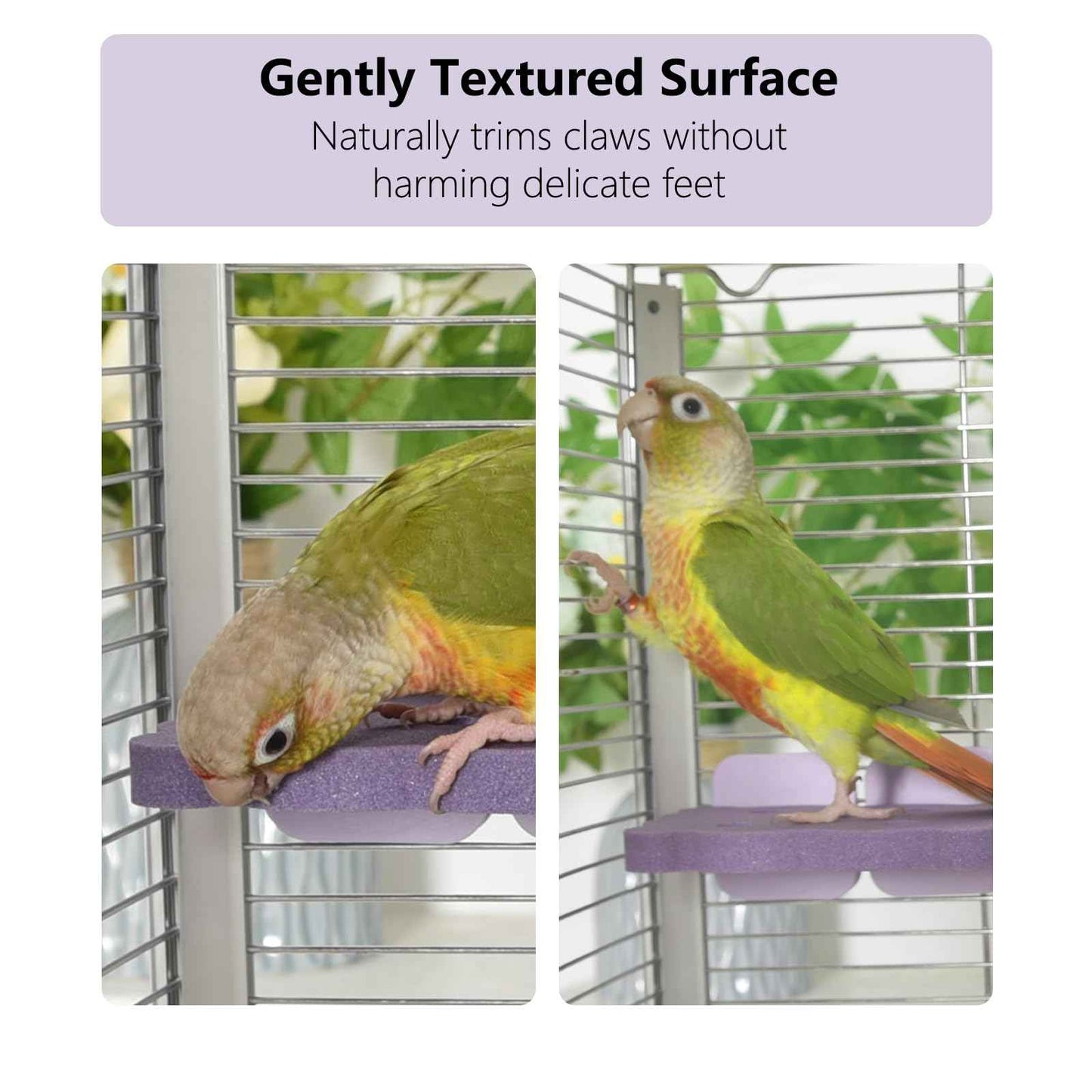 Bird Perch Stand for Parrots – Natural Ceramic Grinding Stick for Beak, A Safe, Non-Shedding Chewing and Claw-Trimming Perch for Parrots (Blue, Medium Size)