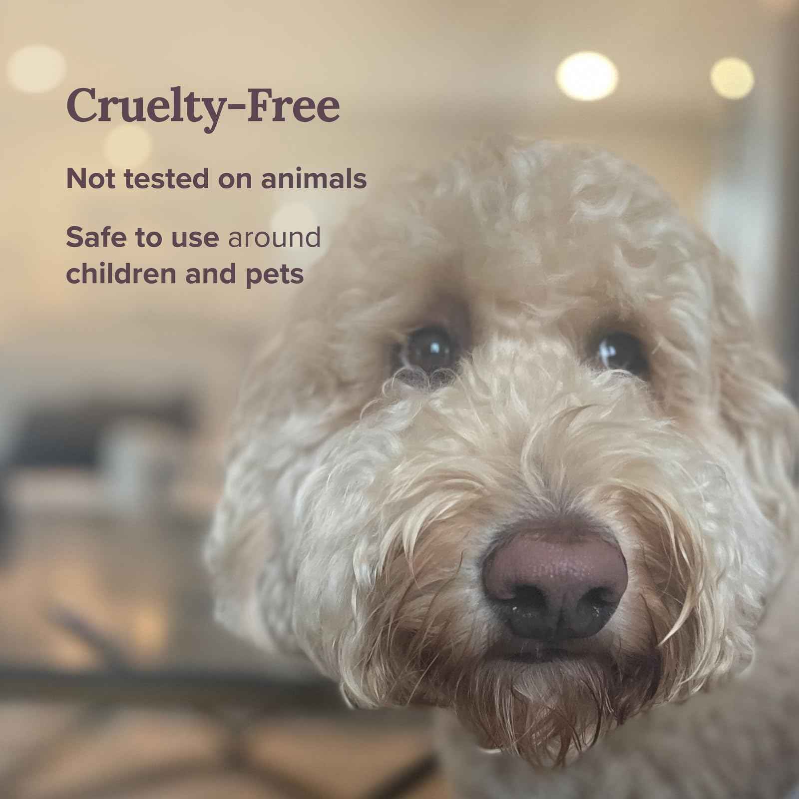 Magnificent 101 Set of 3 Long Lasting Pure Sage Smudge Candles - 42 Hour Burn, 3.5 Oz Each, Made with Soy Wax and Herb, Ideal for House Energy Cleansing, Meditation & Manifestation