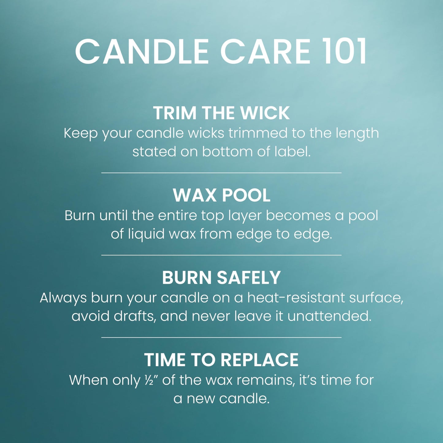 Yankee Candle, Balsam & Cedar Fall Scented Candle, 22oz Large Jar with up to 150 Hour Burn Time jlhbookstore.store