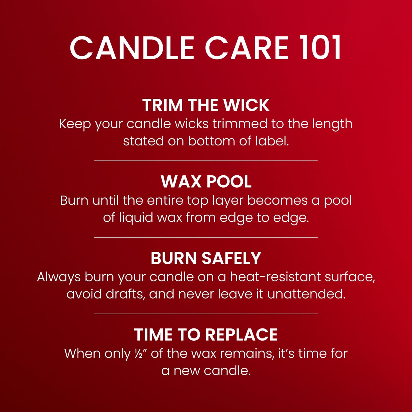 Yankee Candle, Balsam & Cedar Fall Scented Candle, 22oz Large Jar with up to 150 Hour Burn Time jlhbookstore.store