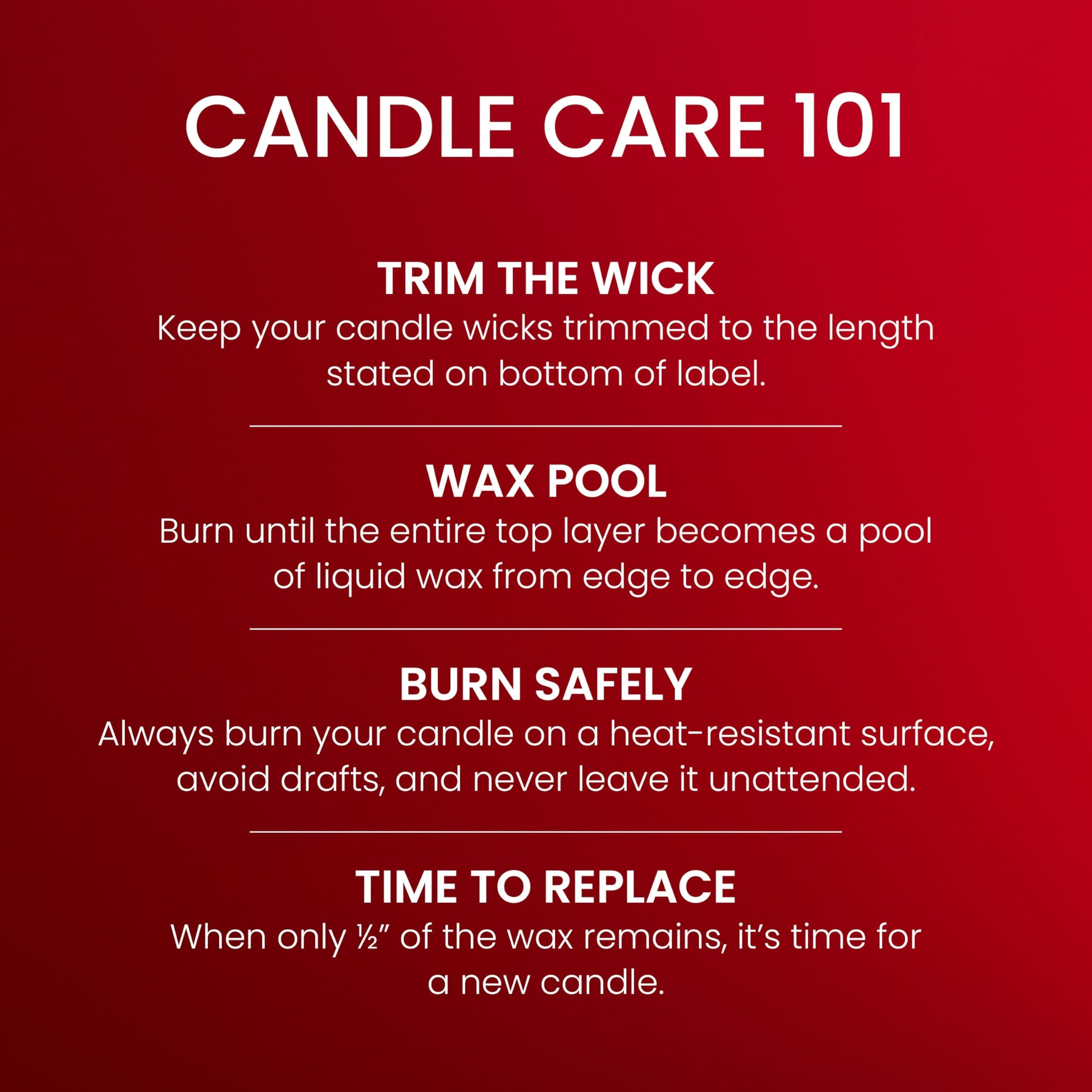 Yankee Candle, Balsam & Cedar Fall Scented Candle, 22oz Large Jar with up to 150 Hour Burn Time jlhbookstore.store