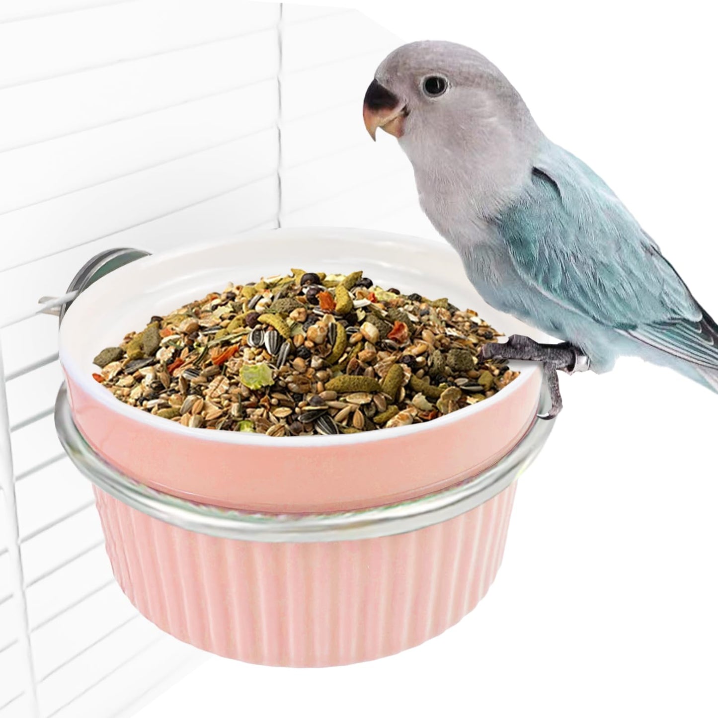 Bird Feeding Cups Parrot Food Cage Bowl Clamp Holder Coop Cup, Ceramic Bird Cage Water Bowl, Pet Feeder Cage for Parakeet African Greys Conure Cockatiels Lovebird Budgie-Blue