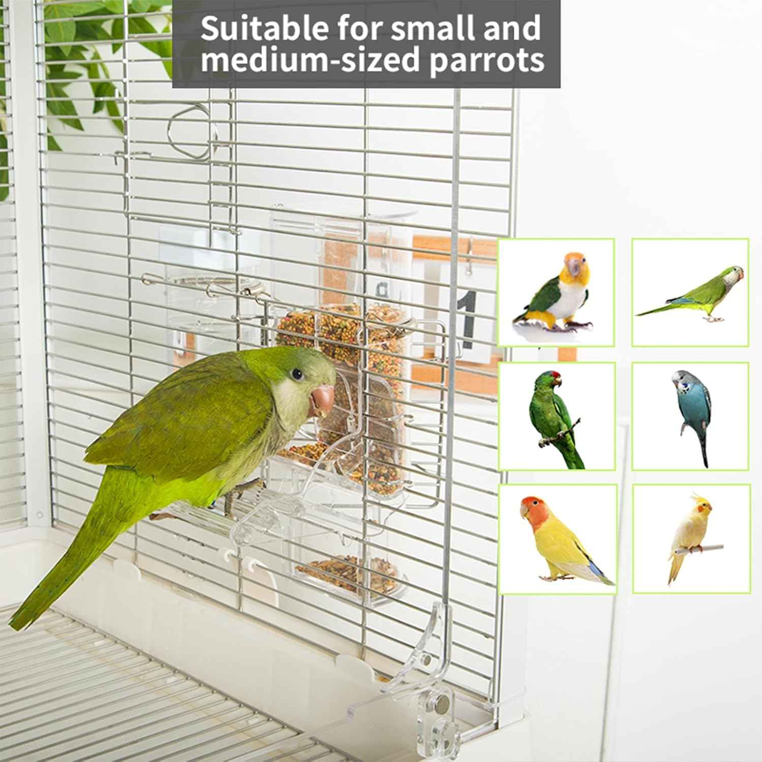 No Mess Bird Feeder & Water Dispenser Set, Automatic Parrot Seed & Water Container for Cage, Food Feeder & Drinker Parakeet Cage Accessories for Parakeets Cockatiels Finches Lovebirds Budgies Canaries