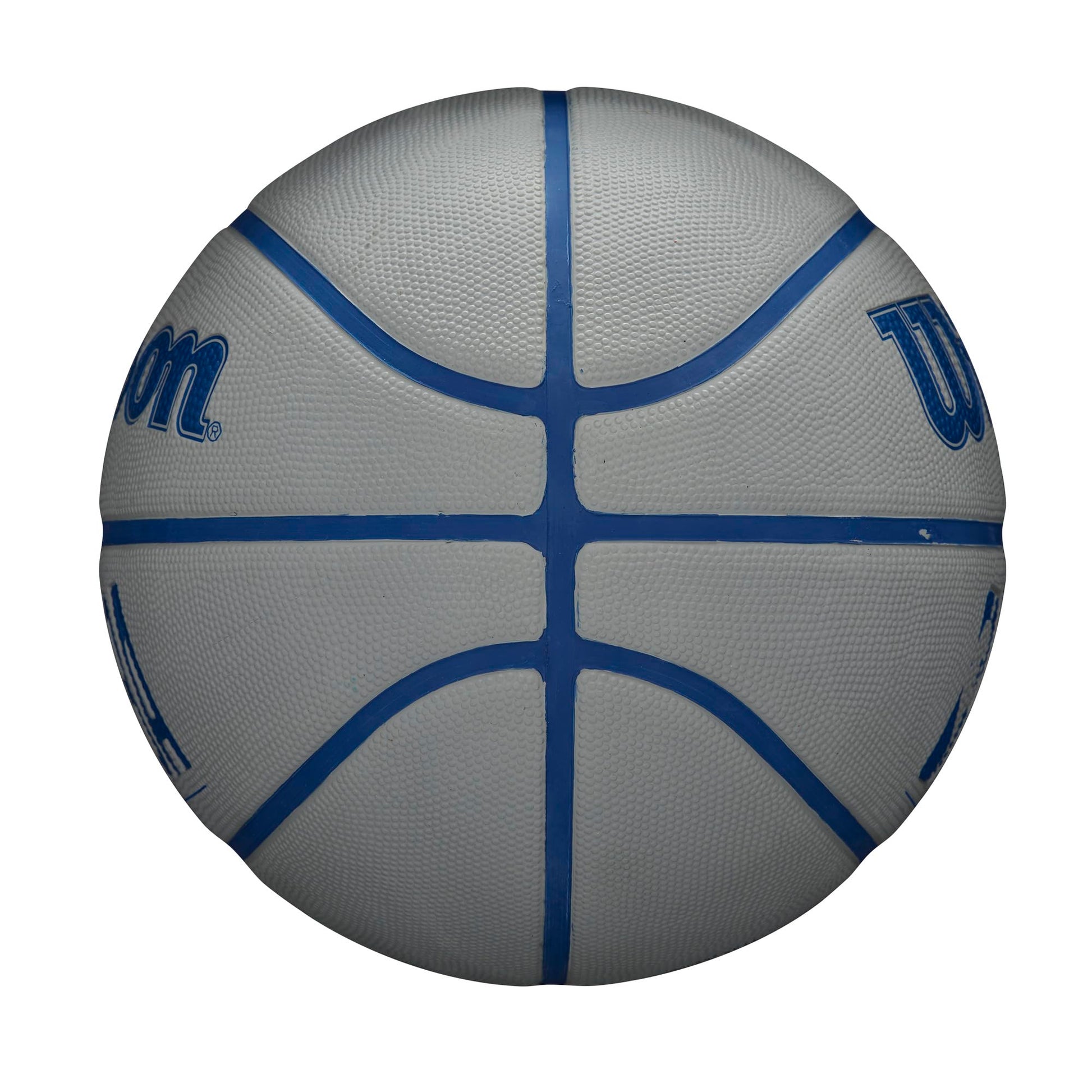 WILSON NBA DRV Series Basketball jlhbookstore.store