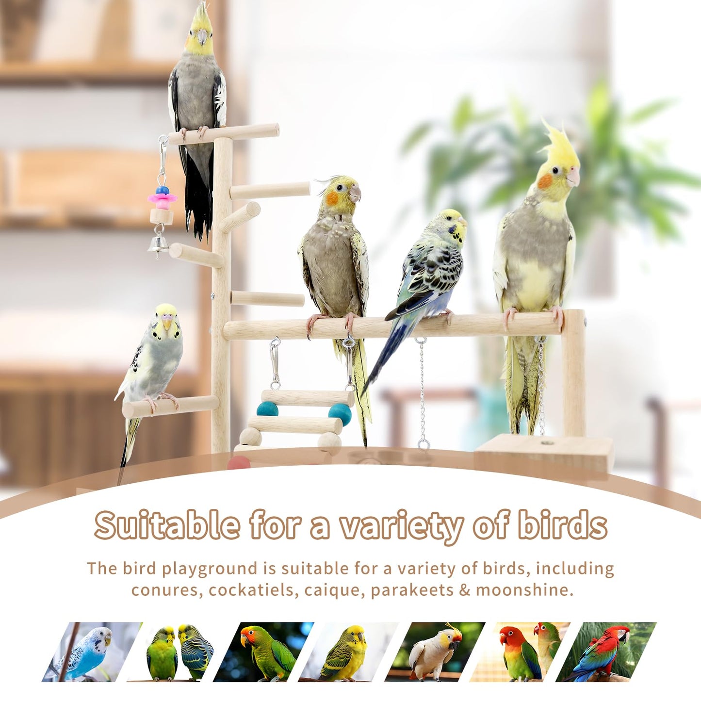 Bird Playground, Parrots Playstand for Small to Medium Birds, Perch Stand with 3 Ladders Playgym with Rope Perch, Swings Feeder Cups Bird Cage Accessories for Conure Cockatiel Lovebirds