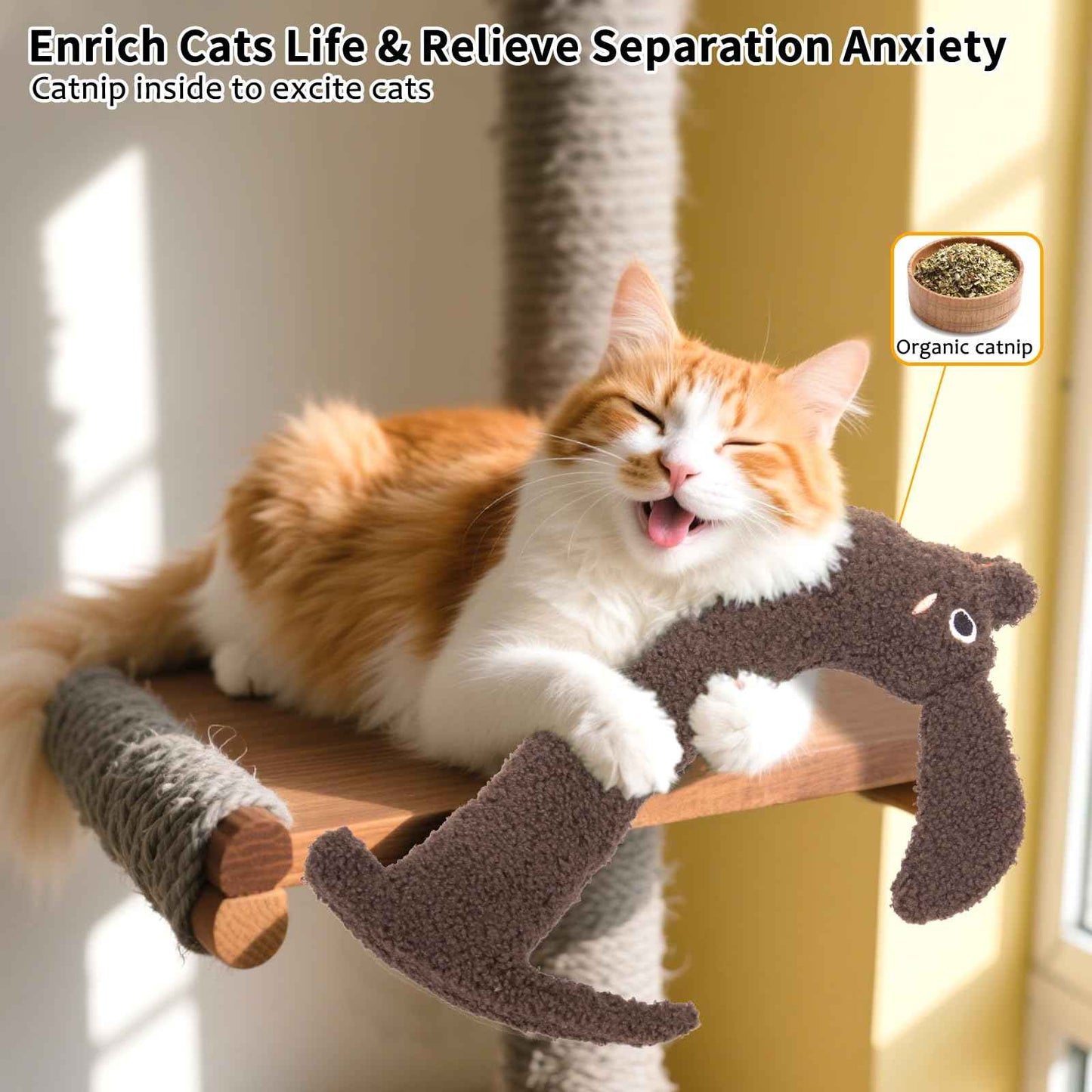 Catnip Cat Toys, Safe Teeth Cleaning Cat Nip Toys for Indoor Kitten Kitty,Interactive Plush Cat Chew Kicker Toys, 5 Pack, Vegetable Shape