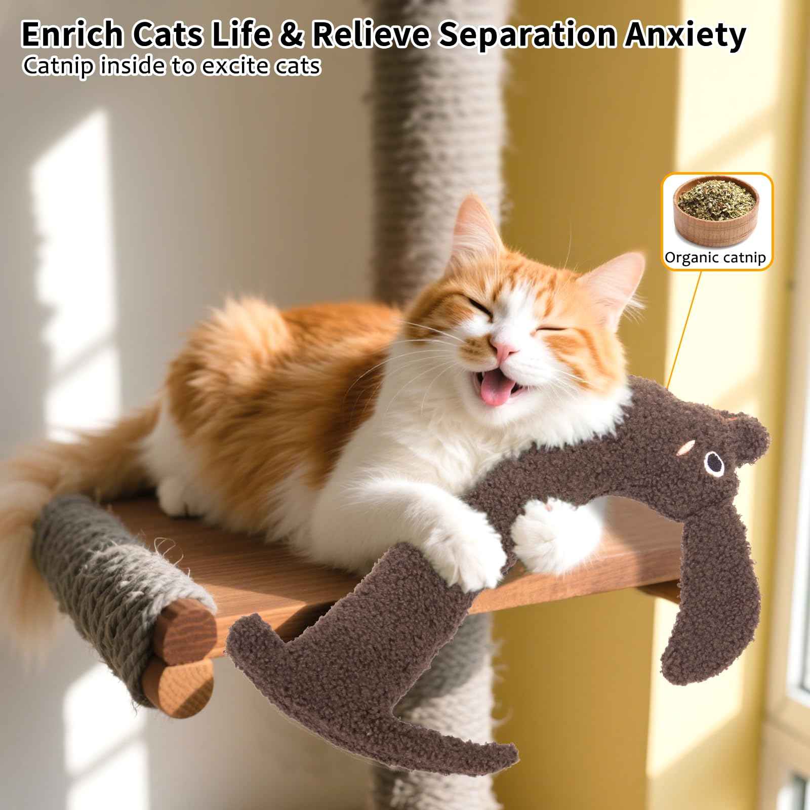 Catnip Cat Toys, Safe Teeth Cleaning Cat Nip Toys for Indoor Kitten Kitty,Interactive Plush Cat Chew Kicker Toys, 5 Pack, Vegetable Shape