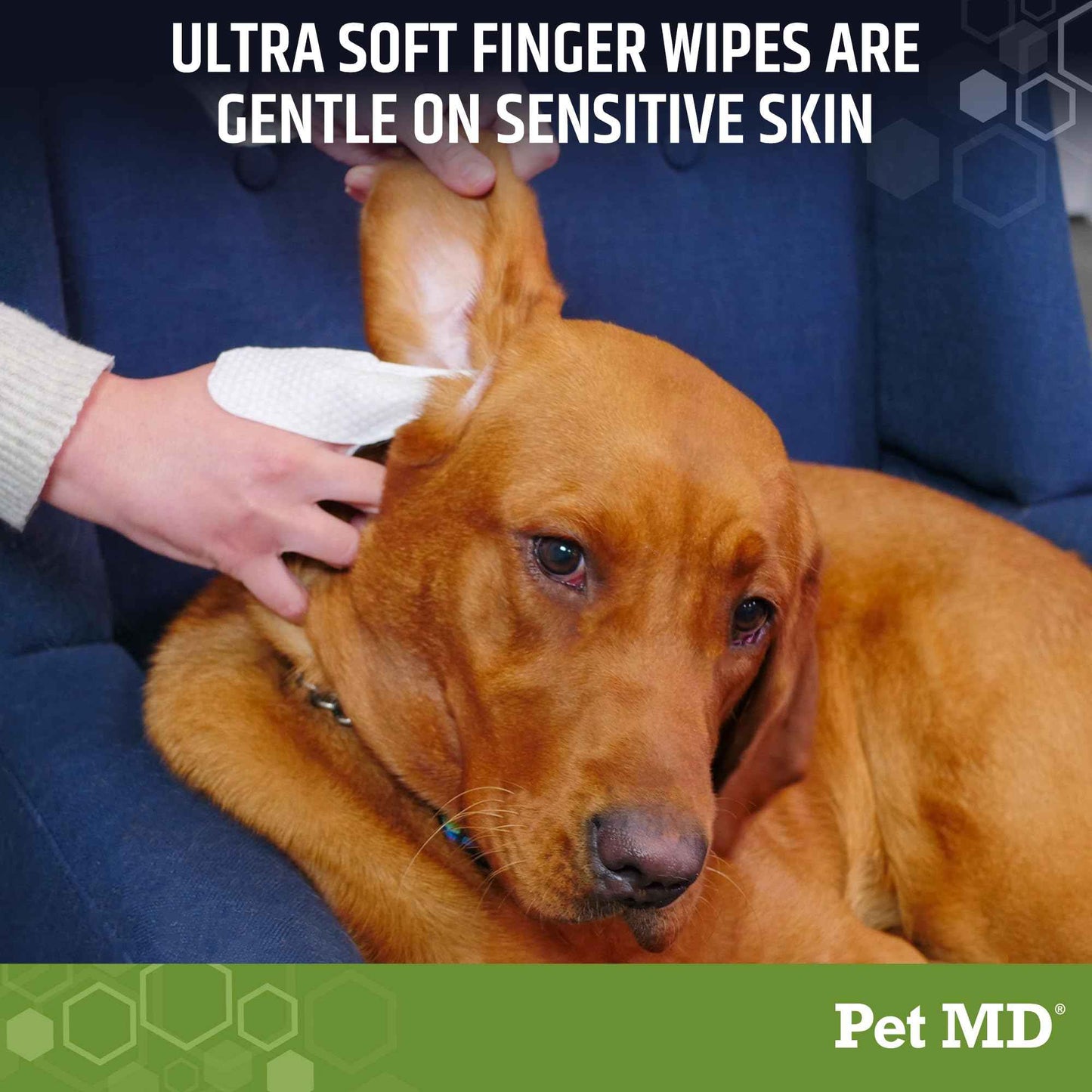 Pet MD - Dog Ear Cleaner Wipes - Otic Cleanser for Dogs to Stop Ear Itching, and Infections with Aloe and Eucalyptus - 100 Count