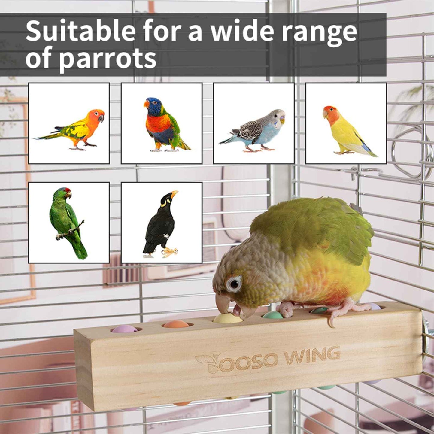 Bird toys & Bird Perch, Bird Wooden Block Chewing Toy Parrot Foraging & Puzzle Toys Bird Cage Accessories for Conures Parakeets Cockatiels Lovebirds African Grey Macaws (Revolving Christmas Tree)