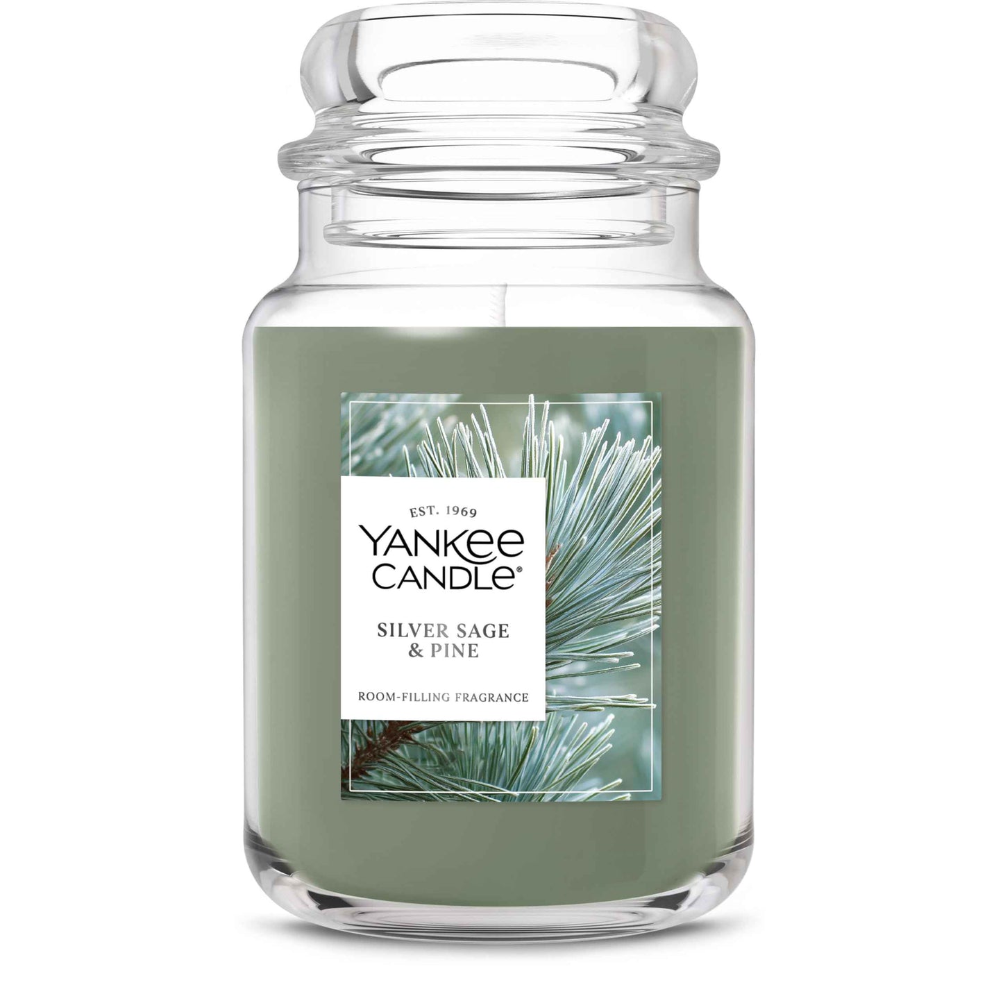 Yankee Candle, Balsam & Cedar Fall Scented Candle, 22oz Large Jar with up to 150 Hour Burn Time